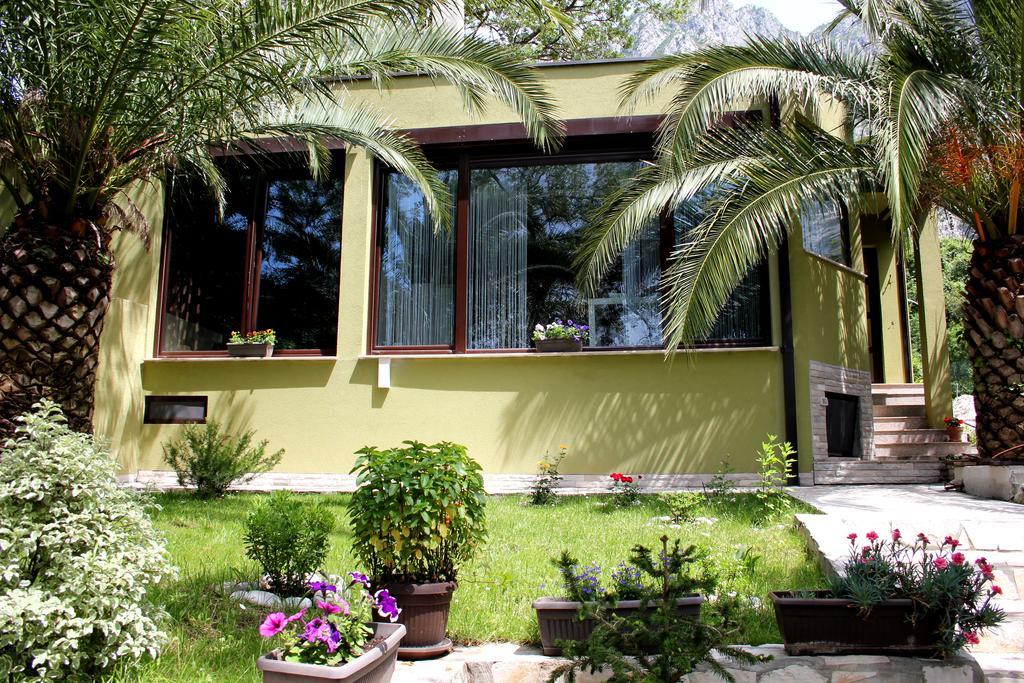 Vila Silence Kotor Exteriér fotografie